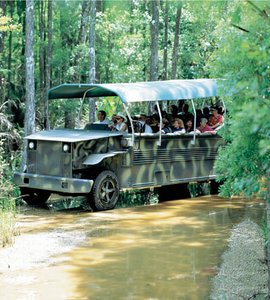 Naples Babcock Wilderness Adventure