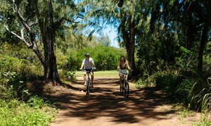 Hawii- Cultural Bike Tours