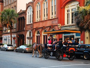 Charleston - Palmetto Carriage Tour