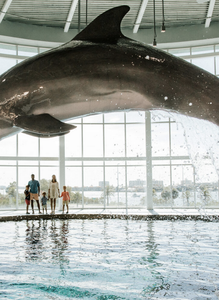 Clearwater - Encounter Marine Life