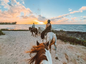 Hawaii - Horseback Riding