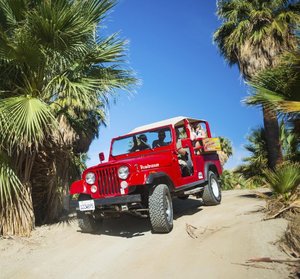 Palm Springs - San Andreas Fault  Jeep Tour
