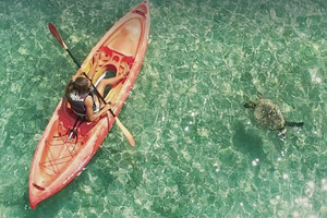 Hawaii - Kayak With Sea Turtles