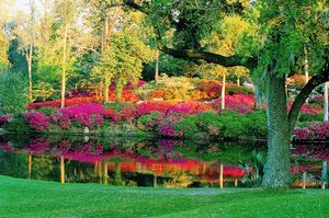 Charleston - Middleton Place 