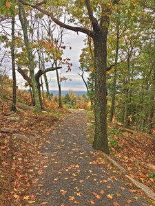 Cape Neddick - Mount Agamenticus Trail