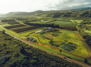 Hawaii- Kuilima Farm Tour