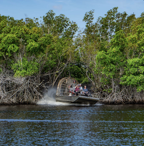 Naples - Everglades Airboat Tours 