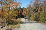 Bar Harbor - Biking in Acadia National Park
