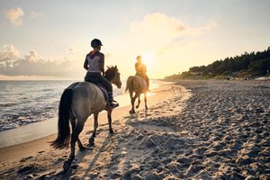 Jekyll Island - Horseback Riding