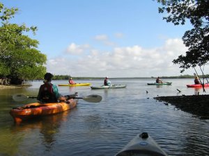 Naples - Rookery Bay Estuarine Research Reserve