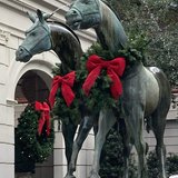 Charleston Holiday Anesthesiology Encore Symposium 2026