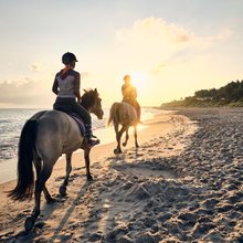 Horseback Riding